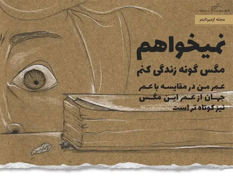 عمر من در مقایسه با عمر جهان از عمر این مگس نیز کوتاه تر است